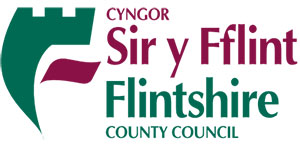 Flintshire county council