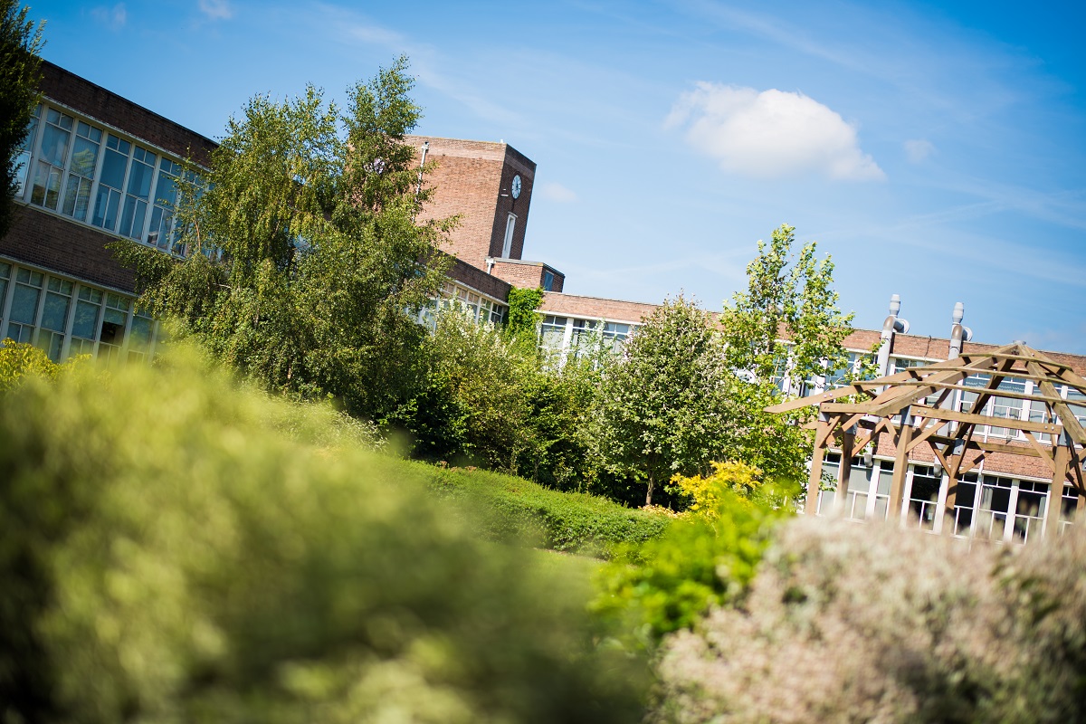 Green spaces on campus