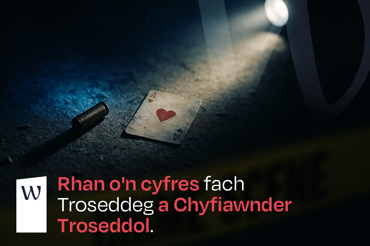 Masterclass Mini-Series cy