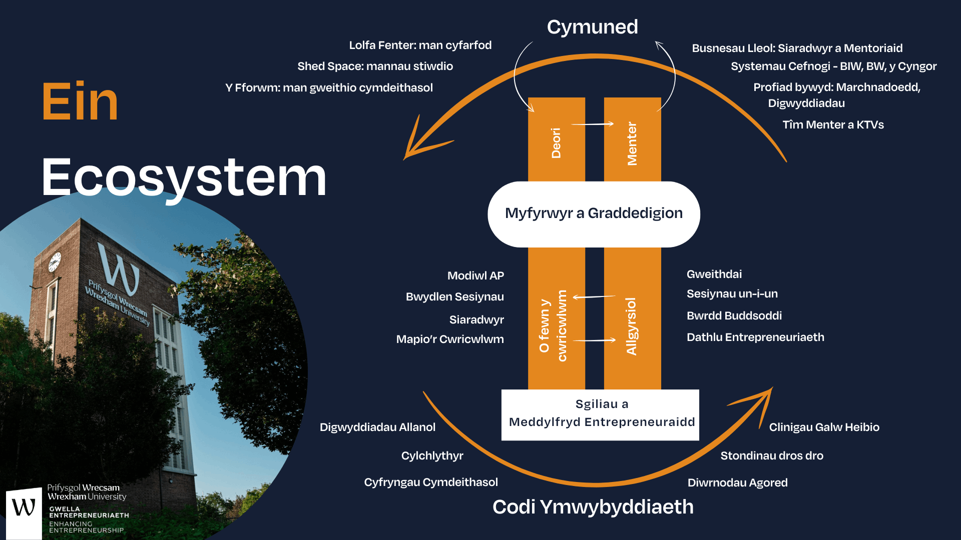 Enterprise Ecosystem infographic