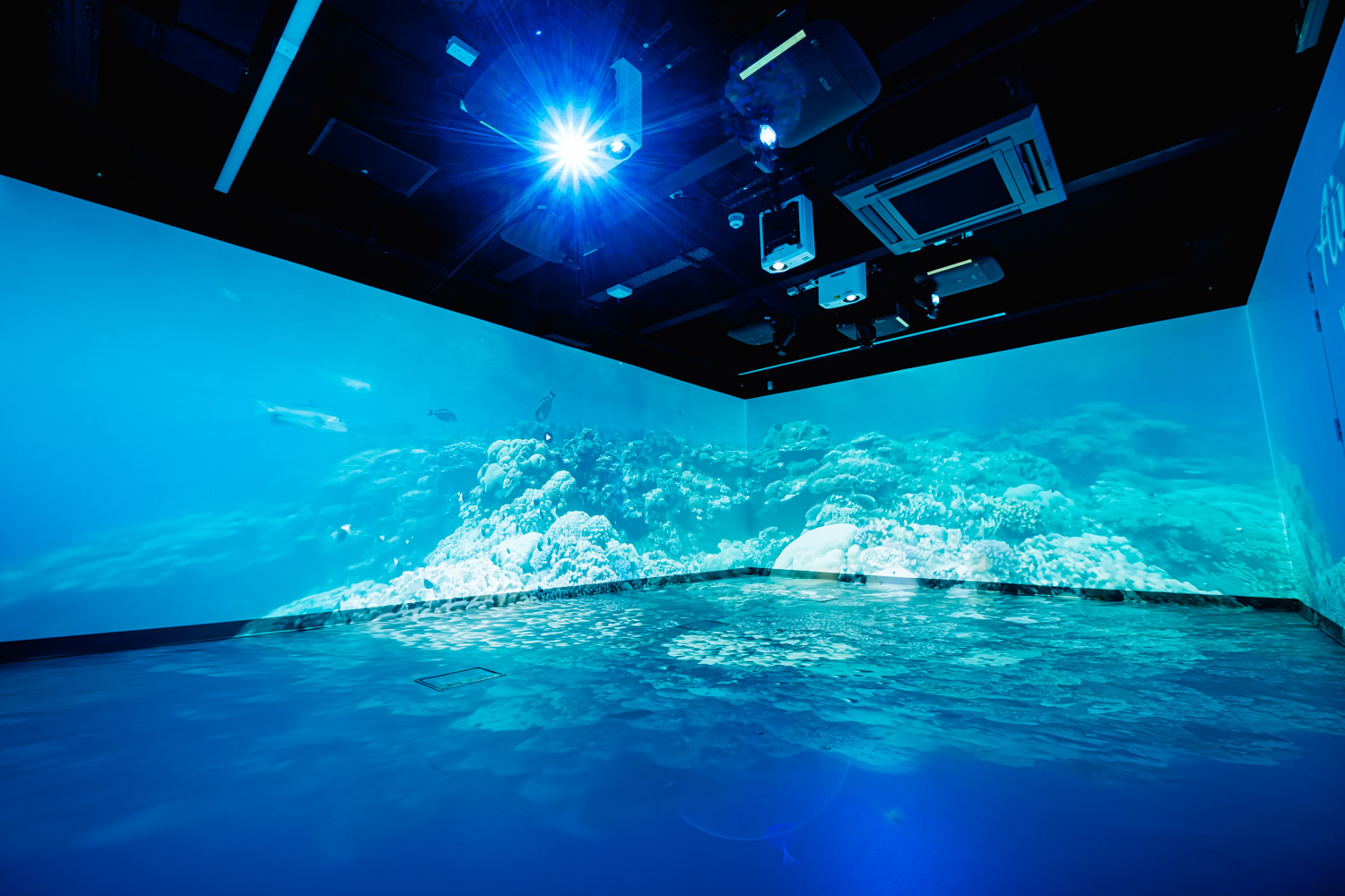 Projection of the sea in the Immersive Suite