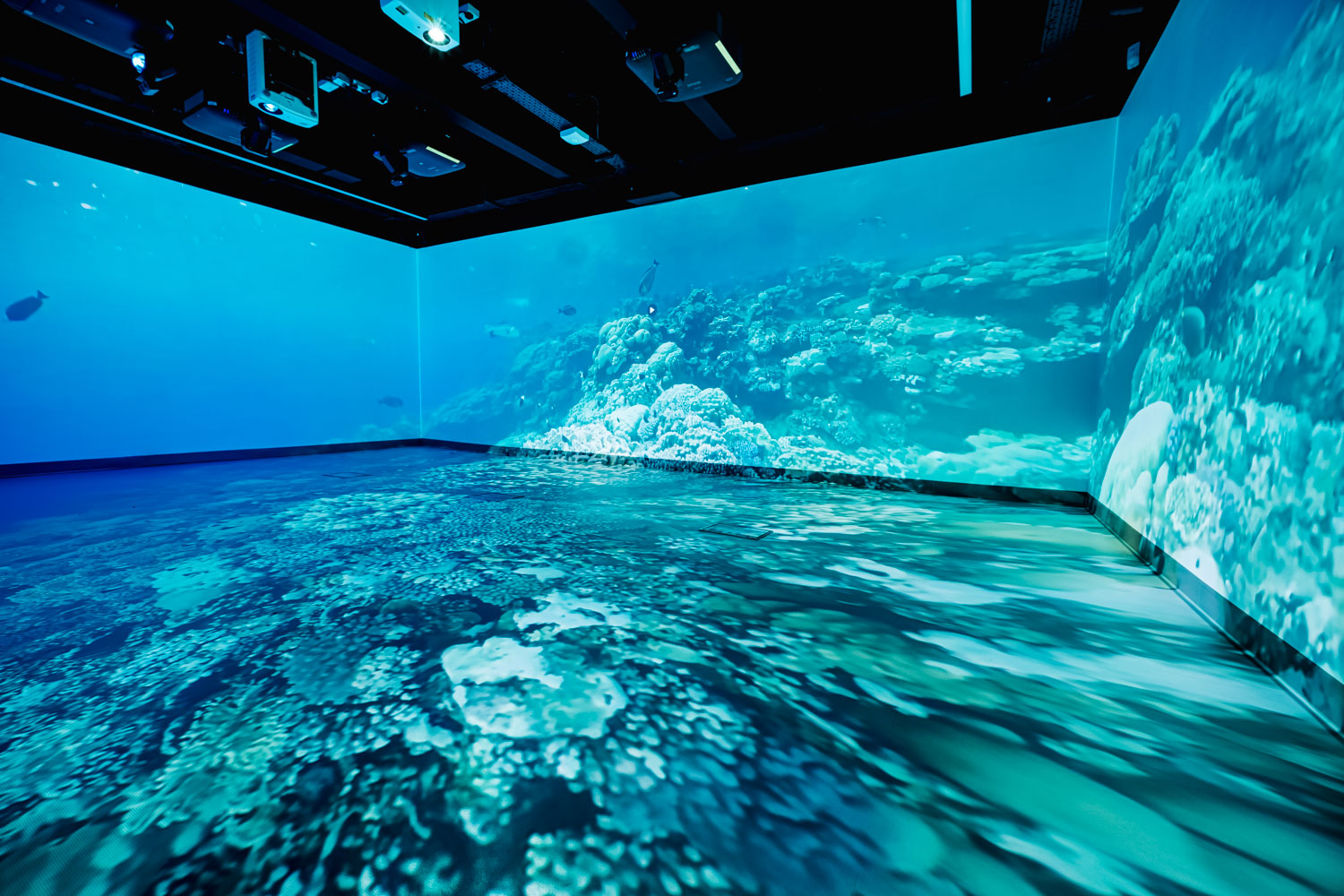 Immersive suite with a projection of the sea