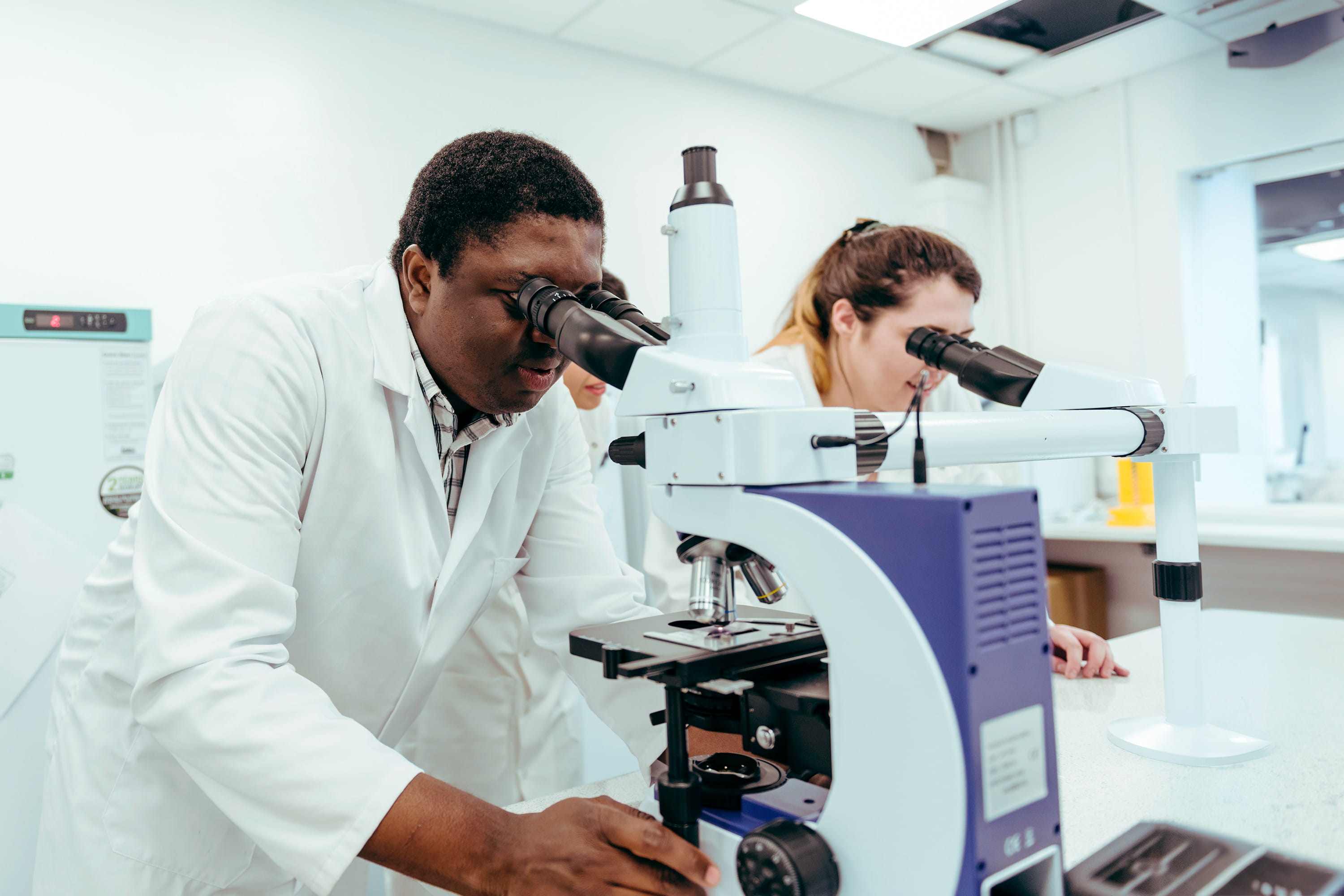 Students using research equipment