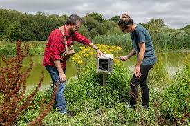 Two people in a field of flowers dressed casually carrying out research work