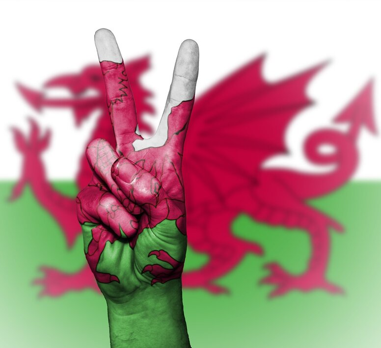wales flag with a hand painted in welsh flag colours