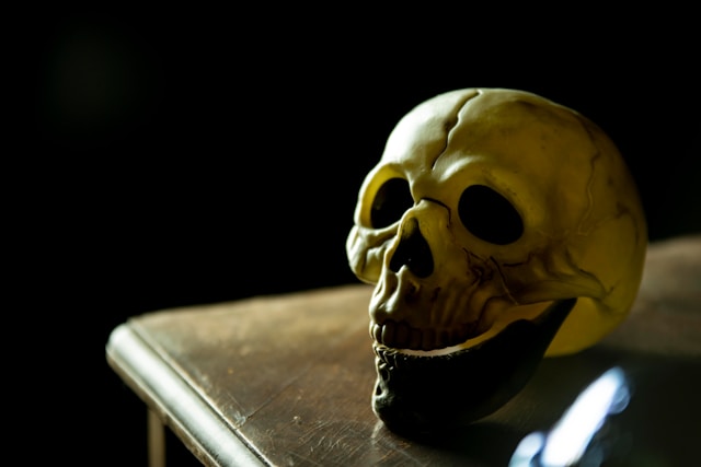 a skull on a table