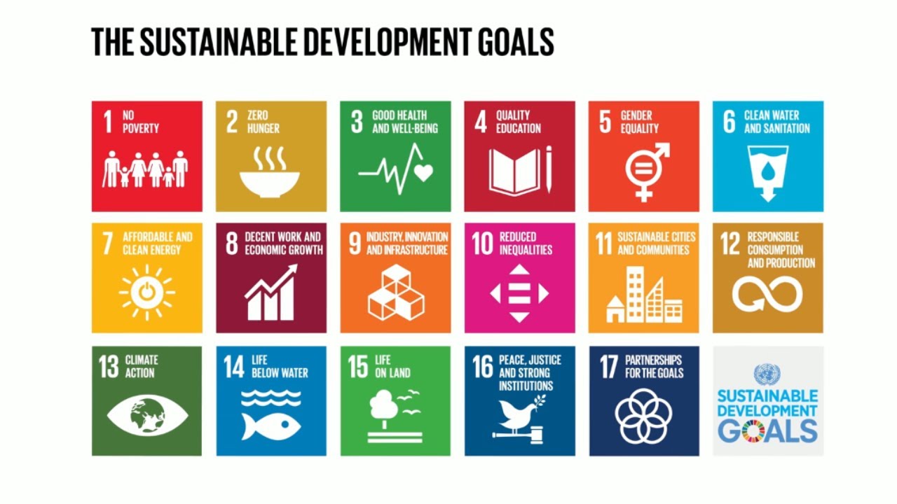 UN sustainable development goals grid
