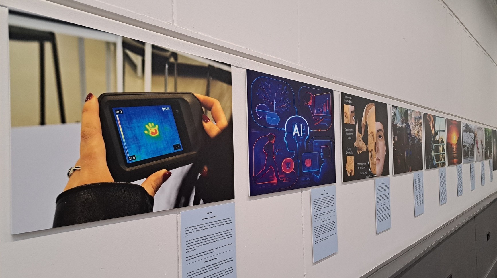 images in the gallery on the wall